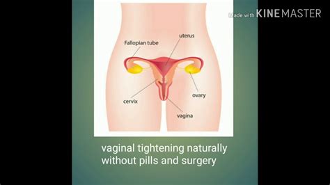 Vaginal Tightening Naturally YouTube