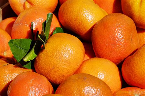 Agronometrics In Charts A Snapshot Of Tangerines A New Fruit On