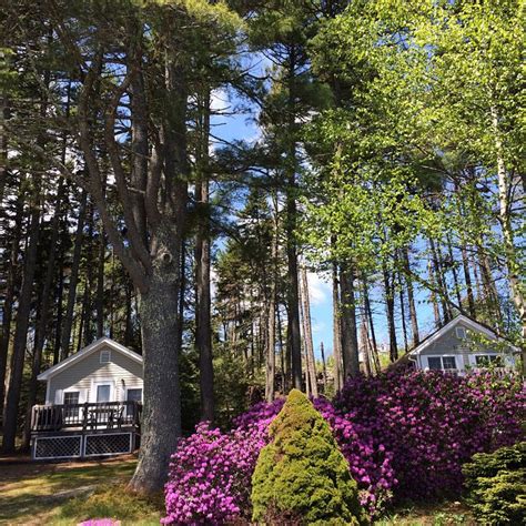 Pine Grove Cottages Updated 2023 Prices And Cottage Reviews Maine