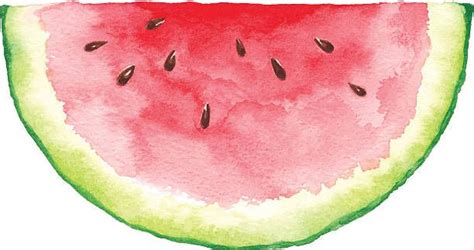 By matt fussell in watercolor. Watercolor Watermelon Slice | Watermelon drawing, Kids watercolor, Watermelon painting