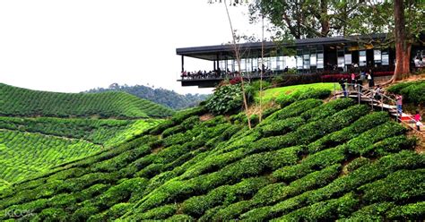 Personal protective equipment worn by staff. Cameron Highlands 'heats up' with droves of visitors - The ...