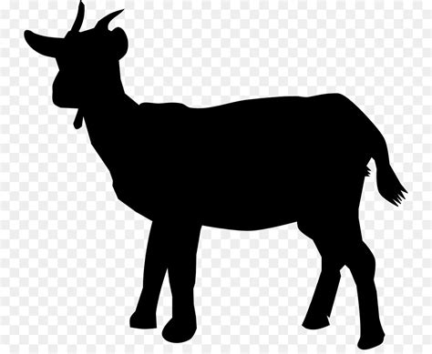 Boer Goat Silhouette At Getdrawings Free Download