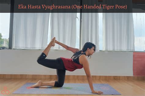 The Complete Guide To The Tiger Yoga Pose Vyaghrasana