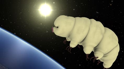 Discover The Resilient Tardigrades At California Academy Of Sciences