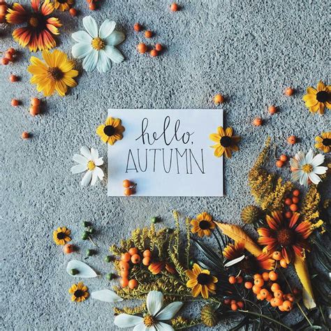 Hello Autumn Wallpapers High Quality Download Free