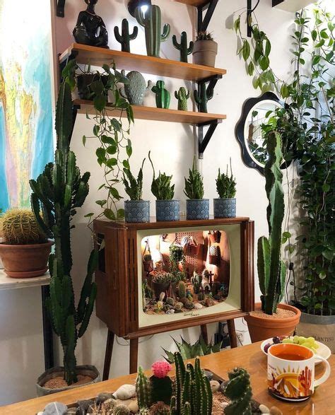 Apartment Inspiration Living Room Cactus 15 Ideas For 2019 Plant