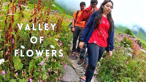 Valley Of Flowers National Park Cinematic Travel Film Uttarakhand