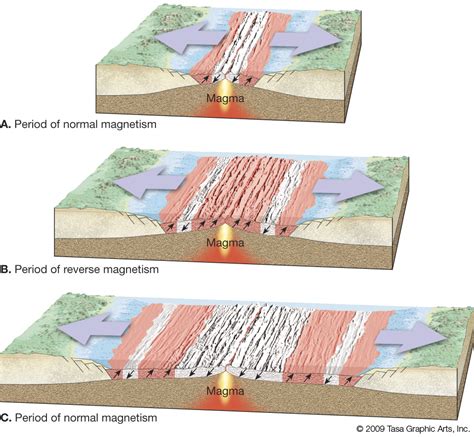 Seafloor Spreading Plate Tectonics Proof Floor Roma