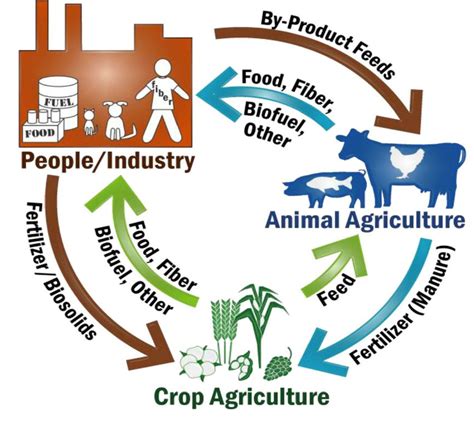 Top 114 Animal Agriculture Vs Plant Agriculture