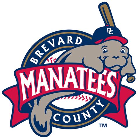 I cannot respect minor league teams that share a name or logo with their parent team. 18 weird minor league baseball team names that struck out