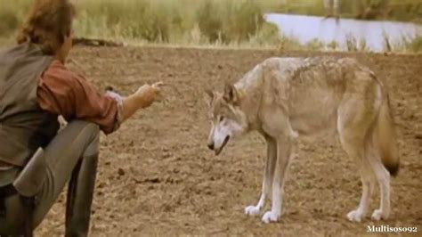 Fear The Metaphors And Cultures Of Dances With Wolves