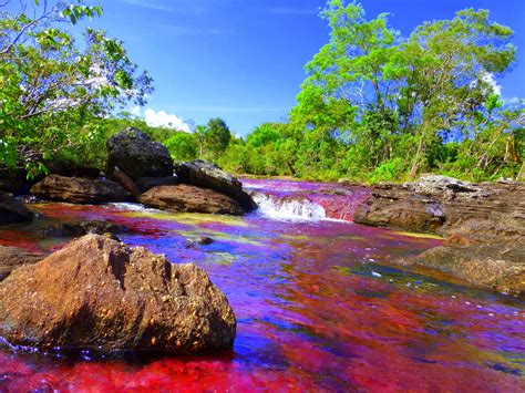 Most Mysterious Places On Earth Caño Cristales River Metacolombia