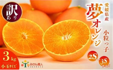 【訳あり】みかん職人の夢オレンジ 小粒っ子 3kg【発送期間：11月中旬～1月下旬】 柑橘 果物 フルーツ 愛媛 みかん職人武田屋 蜜柑 愛果