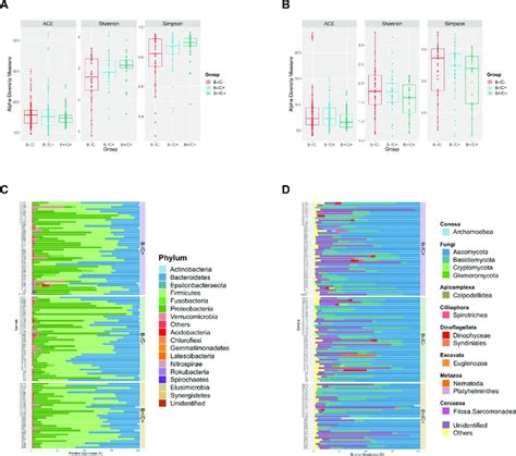 Alpha Diversity Measures And Description Of The Bacterial Phyla And