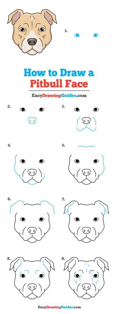 How To Draw A Pitbull Face Really Easy Drawing Tutorial Pitbull Art
