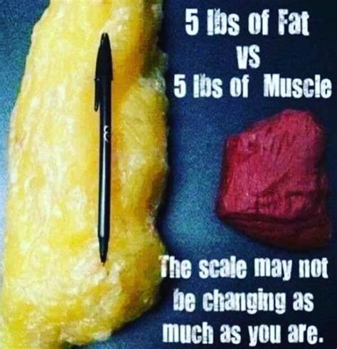 5 Lbs Fat Vs Muscle Key Differences Explained