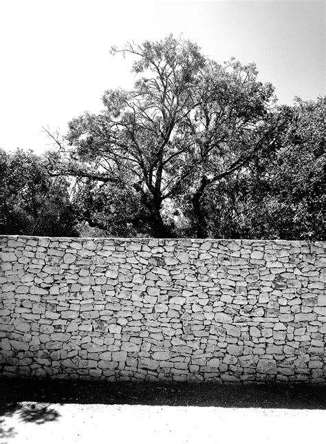 Mur Parfait Nîmes Nord