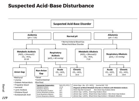 Acid Base Disorders Differential Diagnosis Algorithm Acidemia
