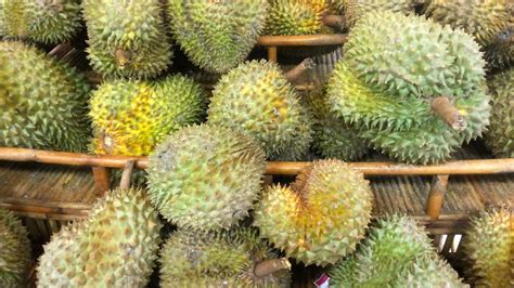 Amazing Fruits Ever Available In Cambodia Various Fruits In Cambodia