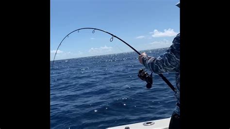 Catching A Huge Amberjack At Two Conchs Fishing Camp Youtube