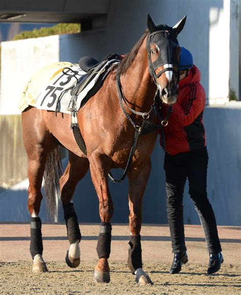 The race serves as a trial for the takamatsunomiya kinen. 【阪急杯】タイホー 牝馬不在は"吉兆"高配当演出も ...