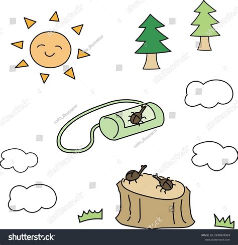 Summer Insect Catcher Vector Illustration Set Stock Vector Royalty