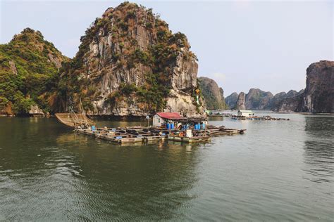 Lan Ha Bay Vietnam Photos And Guide Le Theatre Cruises Official Website
