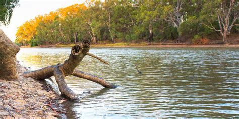 Grants Now Open For Murray Darling Basin Indigenous River Rangers Program National Indigenous