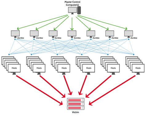 Qu Est Ce Qu Une Attaque Ddos Le Point Des Comp Tences Riset