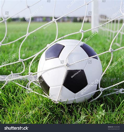 Soccer Ball In The Goal Net Stock Photo 43242280 Shutterstock