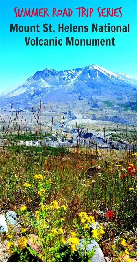 Natures Resilience At Mount St Helens National Volcanic
