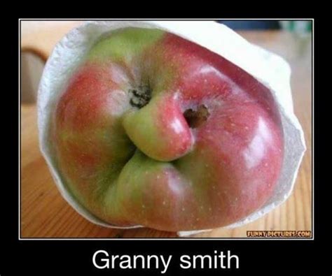 Classic Granny Smith Apple Funny Pic Funny Vegetables Funny Fruit Food Humor