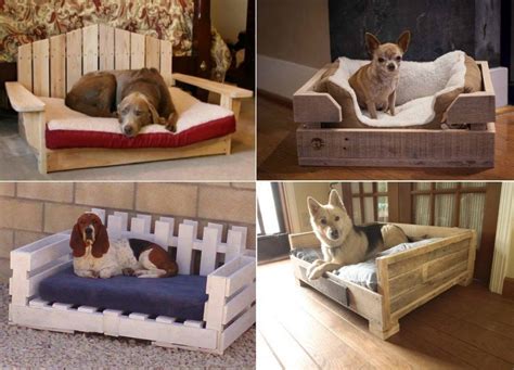 20 Fantastic Pet Bed Ideas