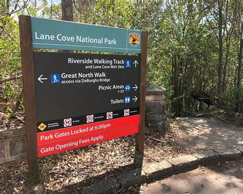 Hiking In Lane Cove National Park Sydney Uncovered