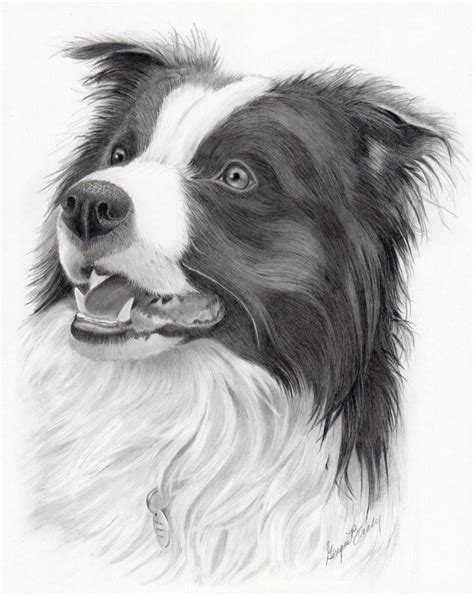Choose your favorite border collie drawings from 278 available designs. Hand Drawn Note Cards