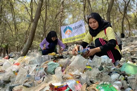 Bruin Sensus Sampah Plastik Mangrove Wonorejo Surabaya Ini Temuannya