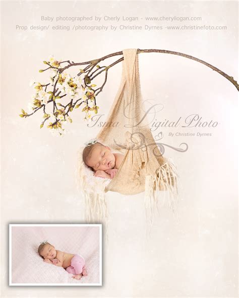 Beautiful Digital Newborn Photography Baby Posing Swing Etsy
