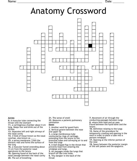 Anatomy Crossword Puzzles Printable Printable Crossword Puzzles