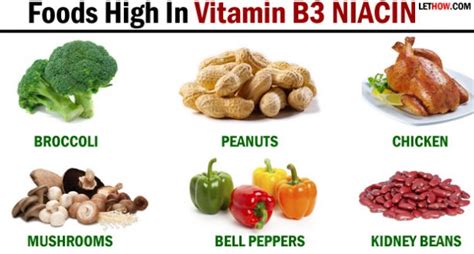 Vitamin rich foods such as those rich in vitamin c, vitamin b9, and vitamin d not only help balance your diet but support weight loss with healthy nutrition. Cancer du colon, bienfaits de la vitamine B3 | Santé Tunisie