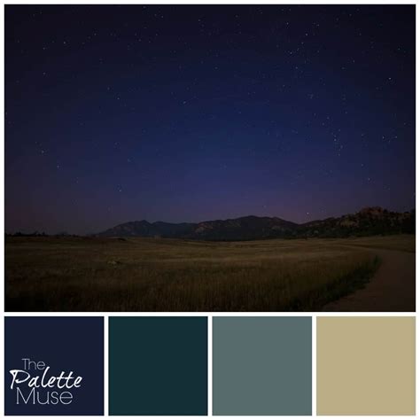 Night Sky Color Palette The Palette Muse