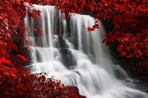 Red Waterfall Red Colours Wall Murals Wonder Wall