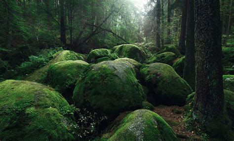 Paesaggi Fiabeschi Alla Fratelli Grimm Fotografati Da Kilian Schönberger