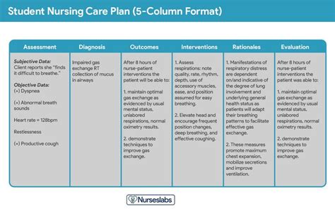 1 000 nursing care plans the ultimate guide and list for free updated for 2023 nursing