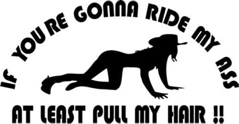 if you re gonna ride my ass at least pull my hair funny vinyl decal sticker 6 wide