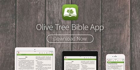 The Olive Tree Bible App By Olive Tree Bible Software Tree Branch