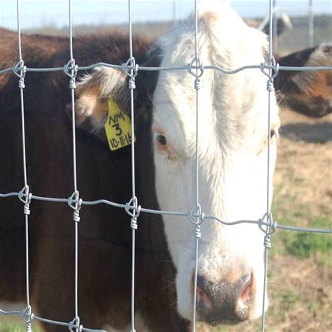 High Tensile Heavy Zinc Coating Galvanized Iron Wire Field Ranch Farm