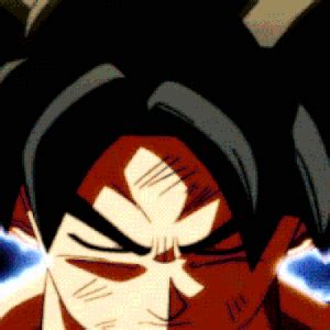 Goku Profile