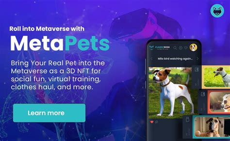 Classicdoge Releases Their Pet Metaverse And Ecosystem