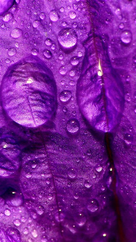 Purple Rain Cute Wallpaper For Phone
