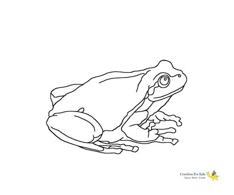 Frog Coloring Pages Kiddo
